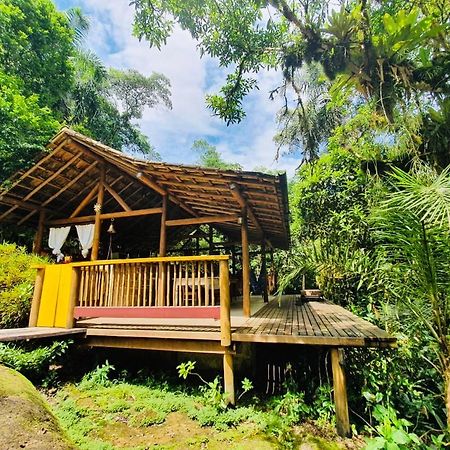 Eco Chales Caminho Das Aguas Barra Grande  Kültér fotó