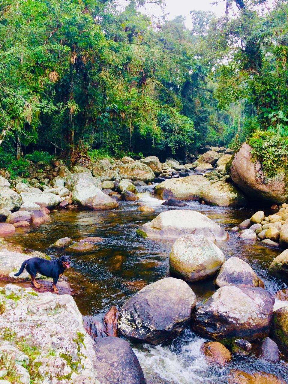 Eco Chales Caminho Das Aguas Barra Grande  Kültér fotó